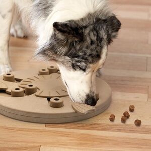 Outward Hound by Nina Ottosson Dog Worker Treat Puzzle Enrichment Toy, Level 3 A